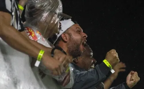 Torcida do Santos comemorando gol. (Foto: Fernanda Luz/AGIF)