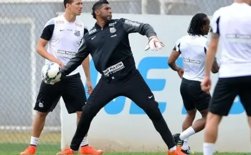 Goleiro Aranha foi alvo de racismo em partida do Santos contra o Grêmio (Foto: Divulgação/Santos)