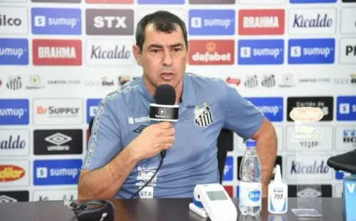 Foto: Ivan Storti/Santos FC