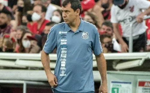 Foto: Robson Mafra/AGIF | Carille ainda não venceu nenhum clássico no comando do Santos