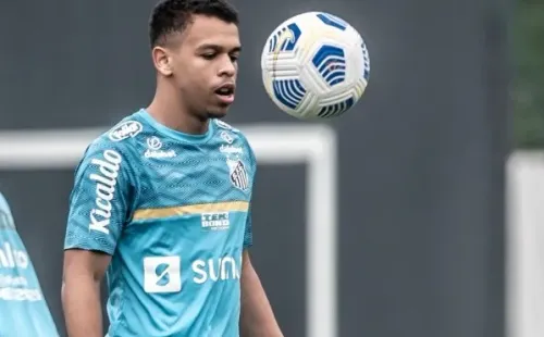 Foto: Ivan Storti/Santos FC