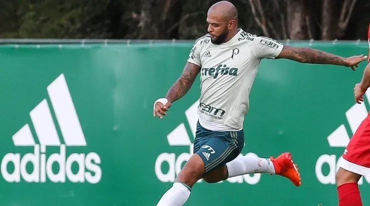 Felipe Melo ainda não foi procurado por Leila Pereira para renovar o seu contrato. Foto: César Greco/ Palmeiras