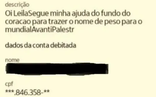 Pix enviado para Leila Pereira, com pedido por centroavante — Foto: Reprodução – Imagem