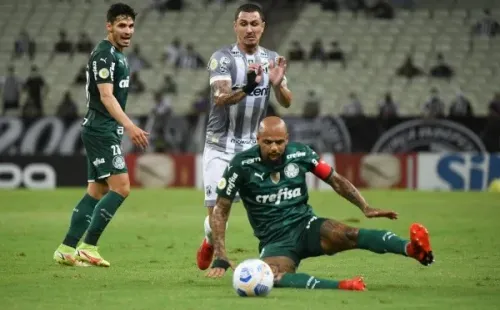 Felipe Melo ganhou o apelido de ''Pitbull Cachorro Louco' no Palmeiras (Foto: Kely Pereira/AGIF)