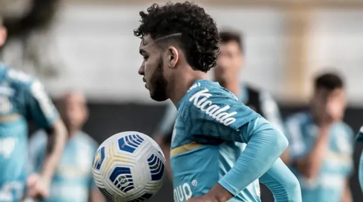 Foto: Ivan Storti/Santos FC