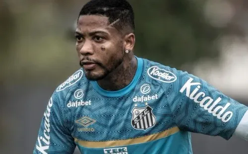 Foto: Ivan Storti/Santos