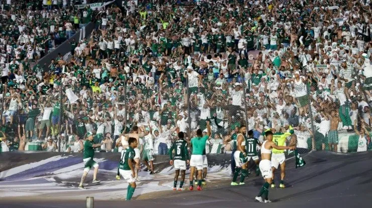 Torcida do Palmeiras deu show na final da Libertadores diante do Flamengo. Foto: César Greco/ Palmeiras