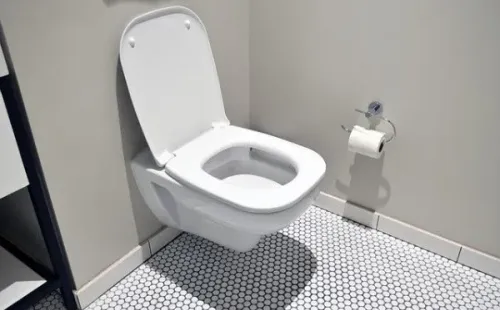 Animais podem sair do vaso sanitário. Foto: Pixabay