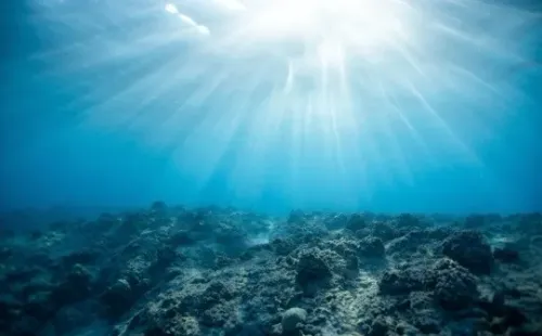 Os cientistas estavam explorando uma antiga cadeia de vulcões no oceano – Imagem: Reprodução/Pexels