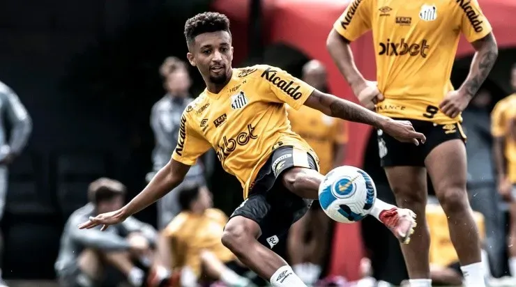 Bruno Oliveiramira mais chances no Santos. Foto: Ivan Storti/ Santos