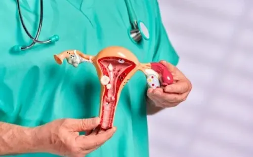 Imagem: Reprodução/Pixabay