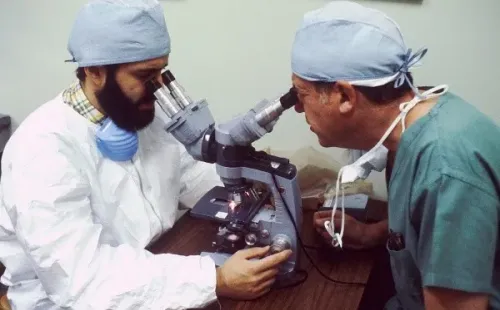 Segundo cientistas, a bactéria é tão grande que pode ser vista a olho nu, sem a necessidade um microscópio – Imagem: Reprodução/Pixabay