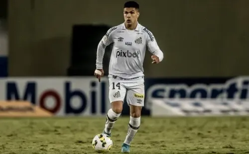 Foto: Ivan Storti/Santos FC