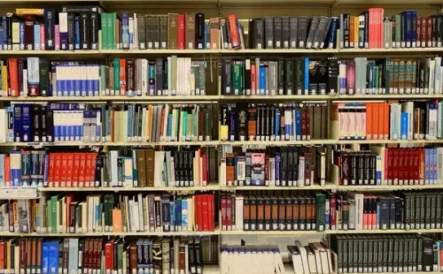 Foto: Pixabay - Biblioteca.