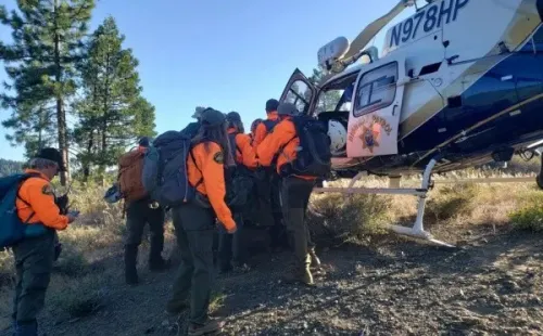 Cachorro percorreu mais de 180 metros.Foto: Reprodução/Facebook/Nevada County Sheriff’s Search & Rescue