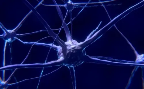 Imagem: Reprodução/Pixabay