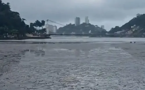 Foto: Reprodução/Pedro Luiz/TikTok