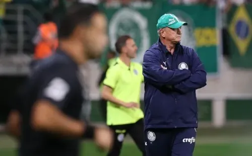 (Foto: Flickr oficial Sociedade Esportiva Palmeiras)