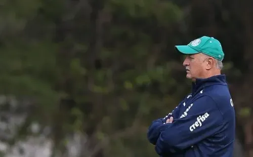 (Foto: Flickr oficial Sociedade Esportiva Palmeiras)