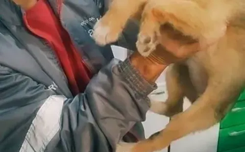 Momento rendeu milhares de views na rede social - Foto: TikTok