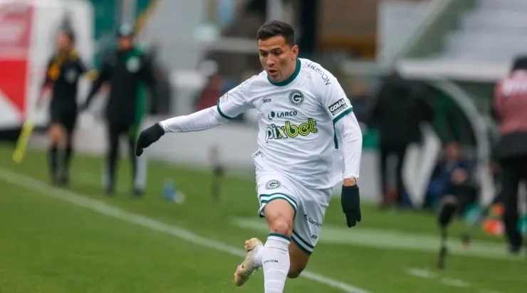 Foto: Luiz Erbes/AGIF - Dadá Belmonte se firmou no time titular ao longo do Brasileirão.