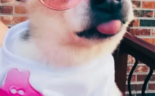 Pebbles tinha 22 anos - Foto: Instagram @pebbles_since_2000