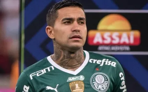 Dudu foi pedido na Seleção Brasileira - Foto: Robson Mafra/AGIF