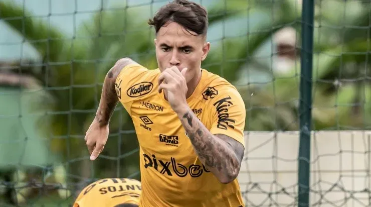 Foto: Ivan Storti/Santos FC/Divulgação - Zanocelo: meia recebeu ofertas para deixar o Santos