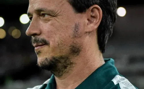 Foto: Thiago Ribeiro/AGIF – Fernando Diniz