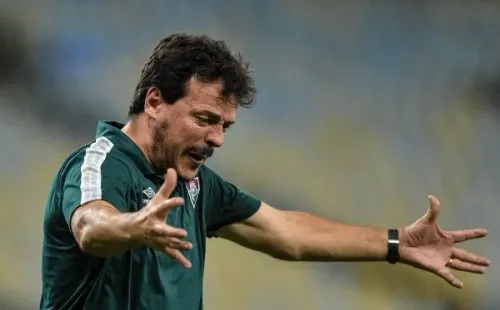 RJ - Rio de Janeiro - 09/11/2022 - BRASILEIRO A 2022, FLUMINENSE X GOIAS - Fernando Diniz tecnico do Fluminense durante partida contra o Goias no estadio Maracana pelo campeonato Brasileiro A 2022. Foto: Thiago Ribeiro/AGIF