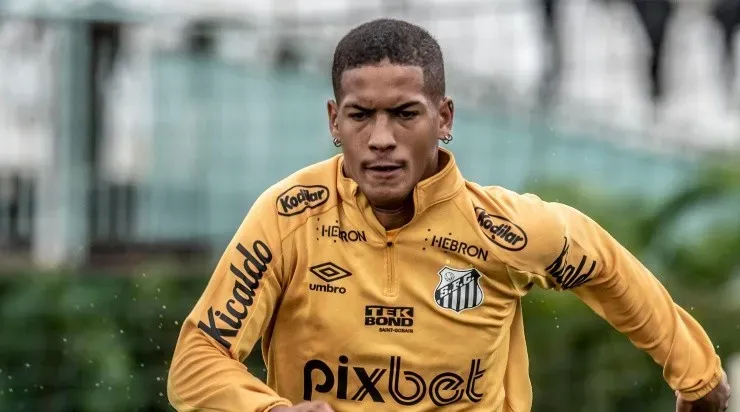 Foto: Ivan Storti/Santos FC