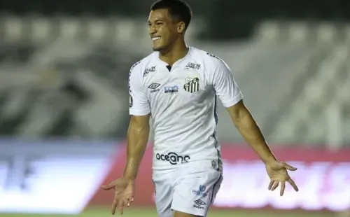 Alexandre Schneider/Getty Images