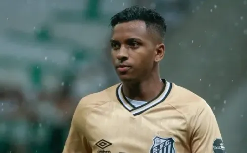 SP - Sao Paulo - 23/02/2019 - Paulista 2019 - Palmeiras X Santos - Rodrygo jogador do Palmeiras durante partida contra o Santos pelo Campeonato Paulista 2019 na arena Allianz Parque Foto: Marcello Zambrana/AGIF