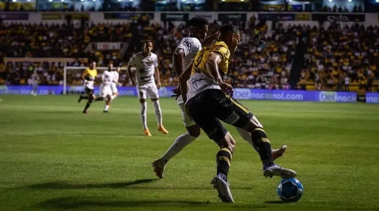 Foto: Rafael Bandeira/Sport Recife - Jogo entre Sport e Criciúma