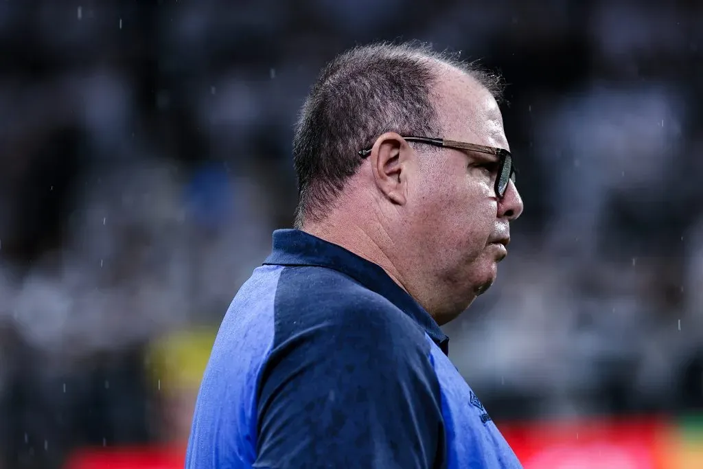 Marcelo Fernandes, técnico do Santos. Foto: Fabio Giannelli/AGIF
