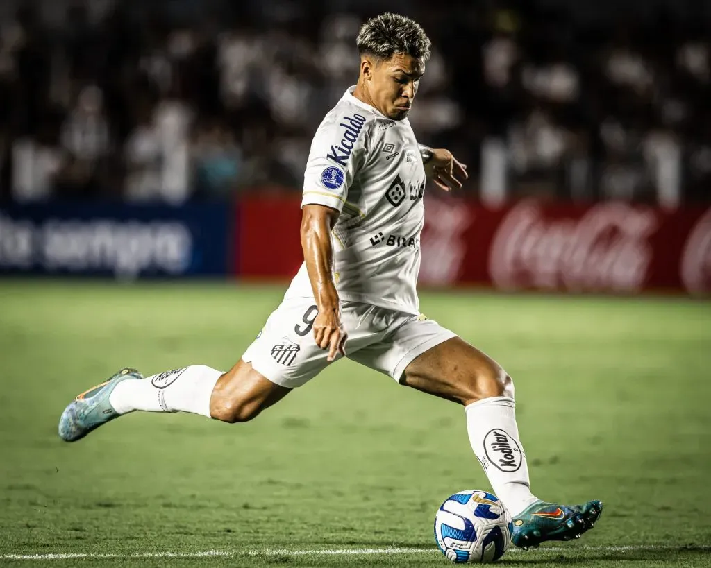 Marcos Leonardo ainda não recebeu boas propostas da Europa – Foto: Raul Baretta/Santos FC
