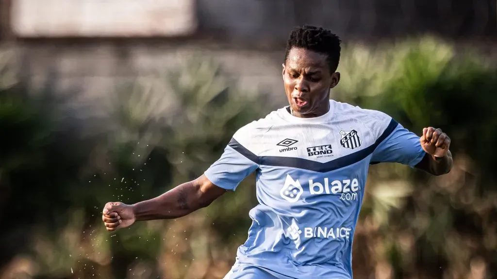 Fotos: Raul Baretta/ Santos FC.