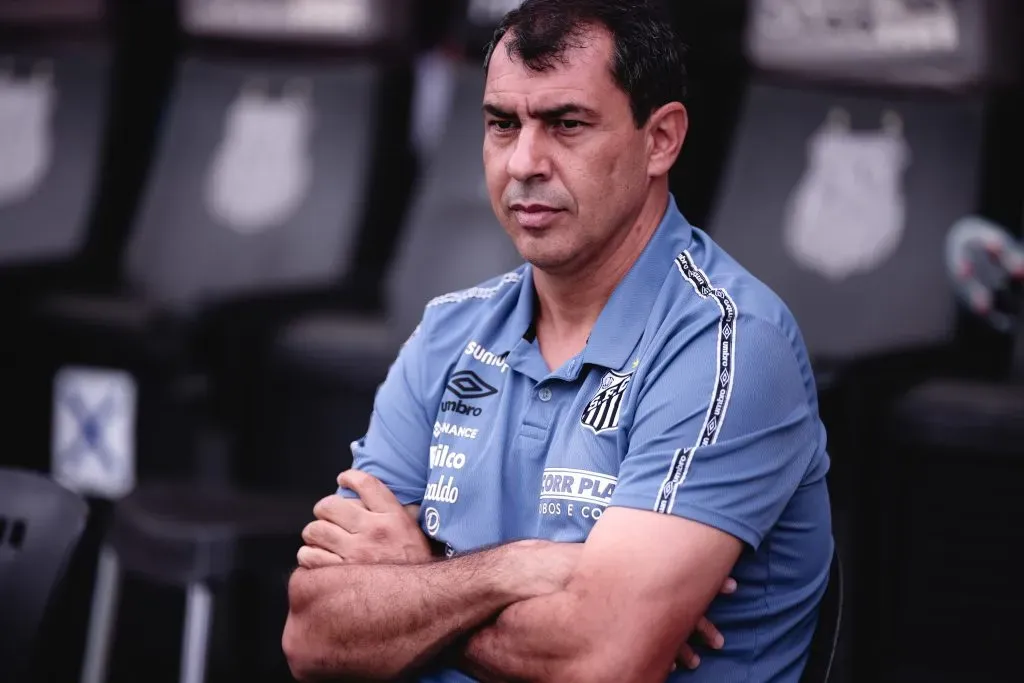 Fabio Carille pode ser motivo de transferban no Santos: Foto: Ettore Chiereguini/AGIF