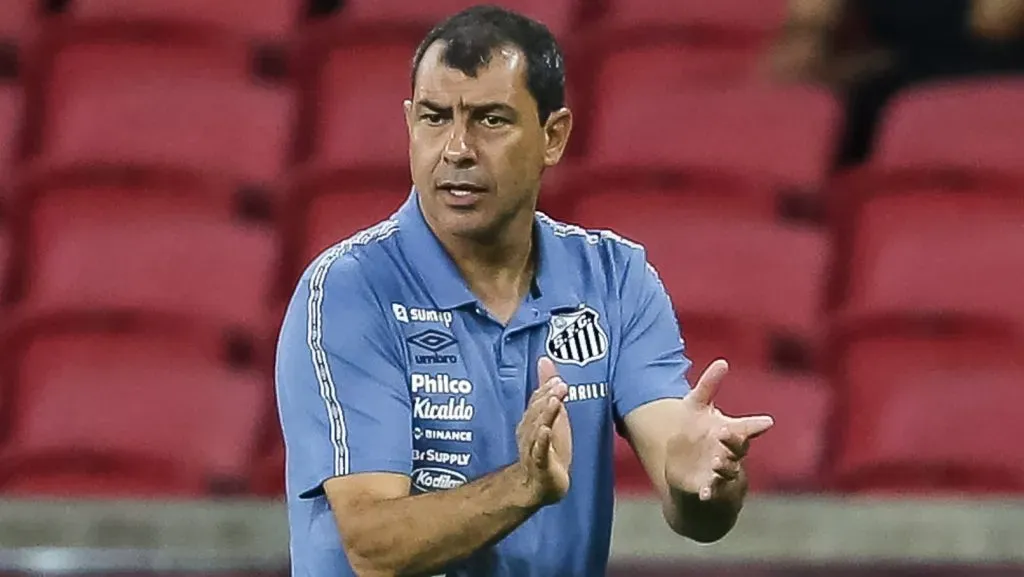 Carille confia em uma peça do Santos - Foto: Pedro H. Tesch/AGIF.