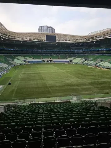 Novo Gramado do Allianz Parque. Foto: Reprodução