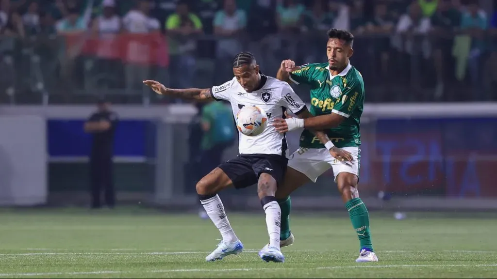 Palmeiras e Botafogo se enfrentam em breve - Foto: Marcello Zambrana/AGIF.