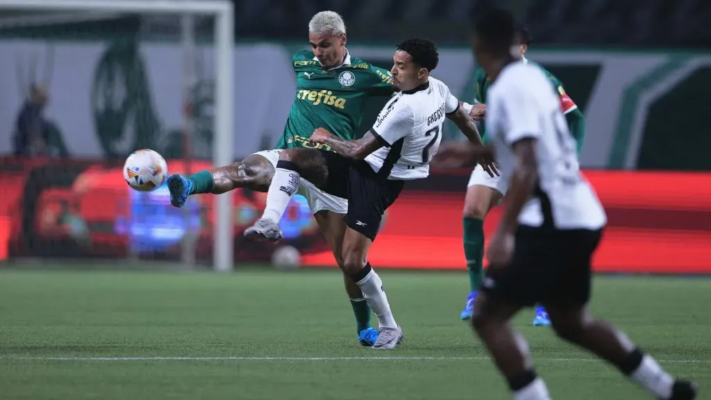 Palmeiras e Botafogo no Allianz Parque. Foto: Ettore Chiereguini/AGIF