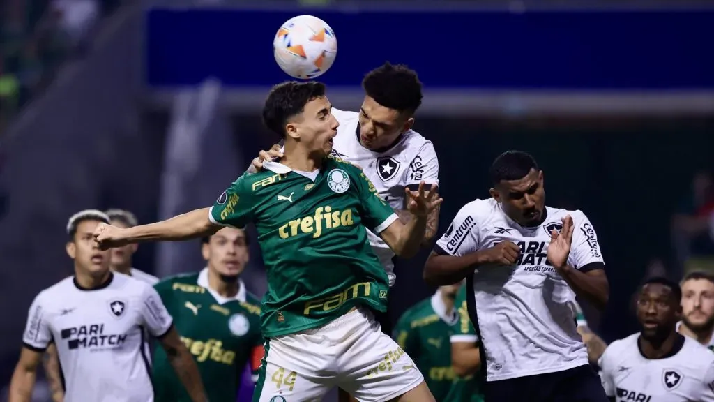 Palmeiras x Botafogo - Foto: Marcello Zambrana/AGIF.