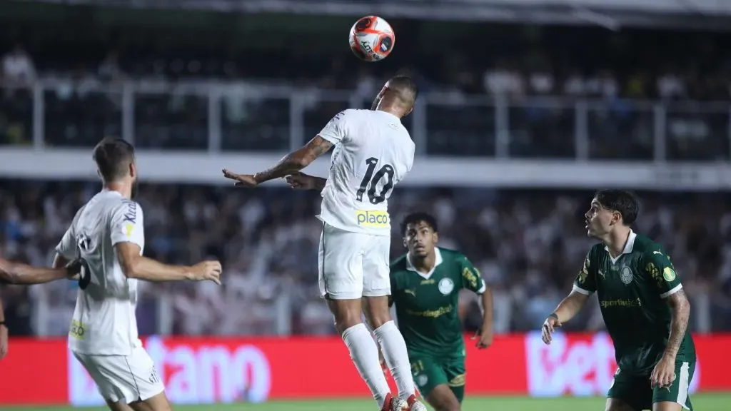 Santos x Palmeiras - Foto: Reinaldo Campos/AGIF.