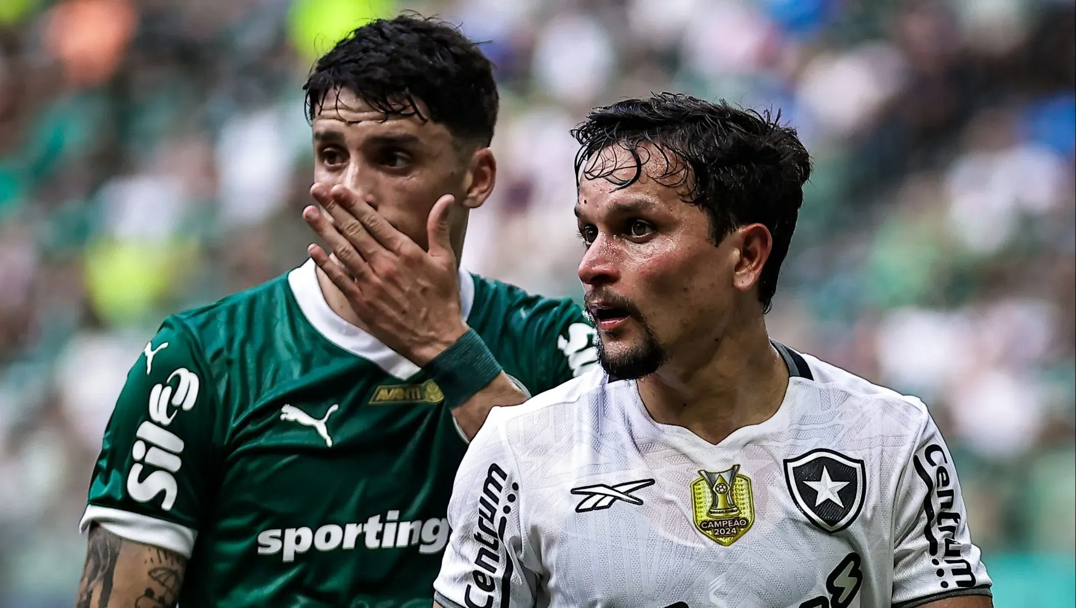 Palmeiras x Botafogo pelo Campeonato Brasileiro A 2025. Foto: Fabio Giannelli/AGIF