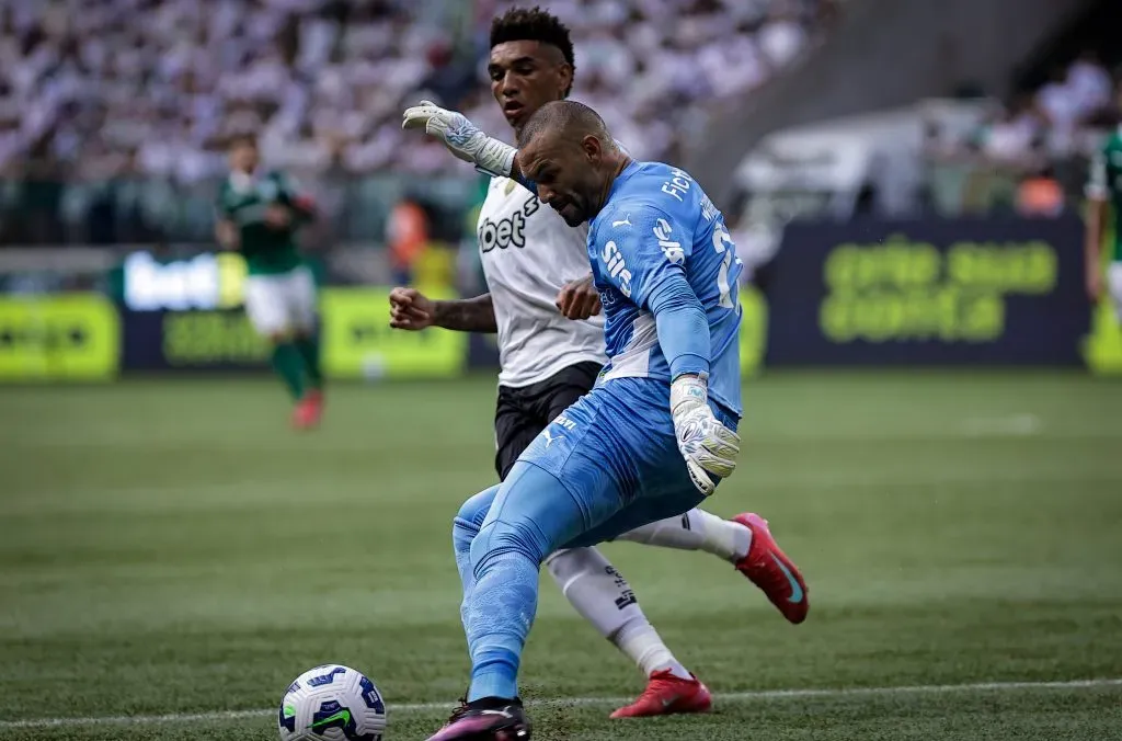 Weverton em ação pelo Palmeiras no Campeonato Brasileiro. Foto: Fabio Giannelli/AGIF