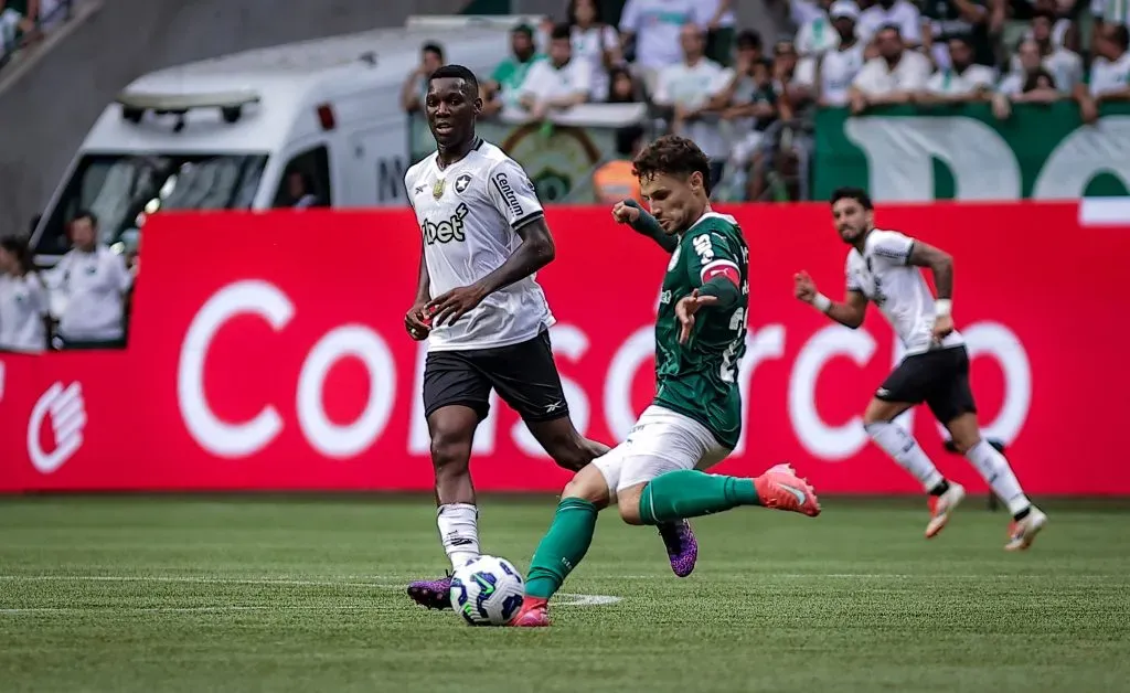 Jogando em casa, Palmeiras ficou no empate sem gols com o Botafogo pelo Brasileirão. Foto: Fabio Giannelli/AGIF