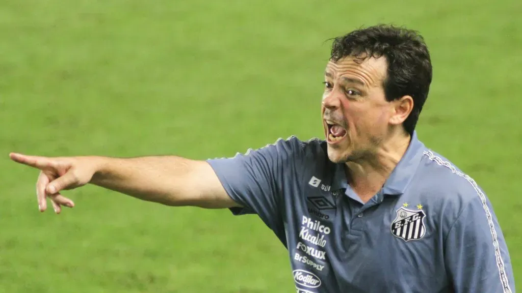 Fernando Diniz no comando do Santos em 2021, Foto: Fernanda Luz/AGIF