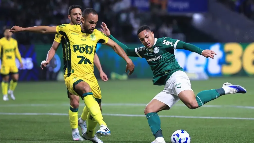 Mirassol no Brasileirão. Foto: Ettore Chiereguini/AGIF