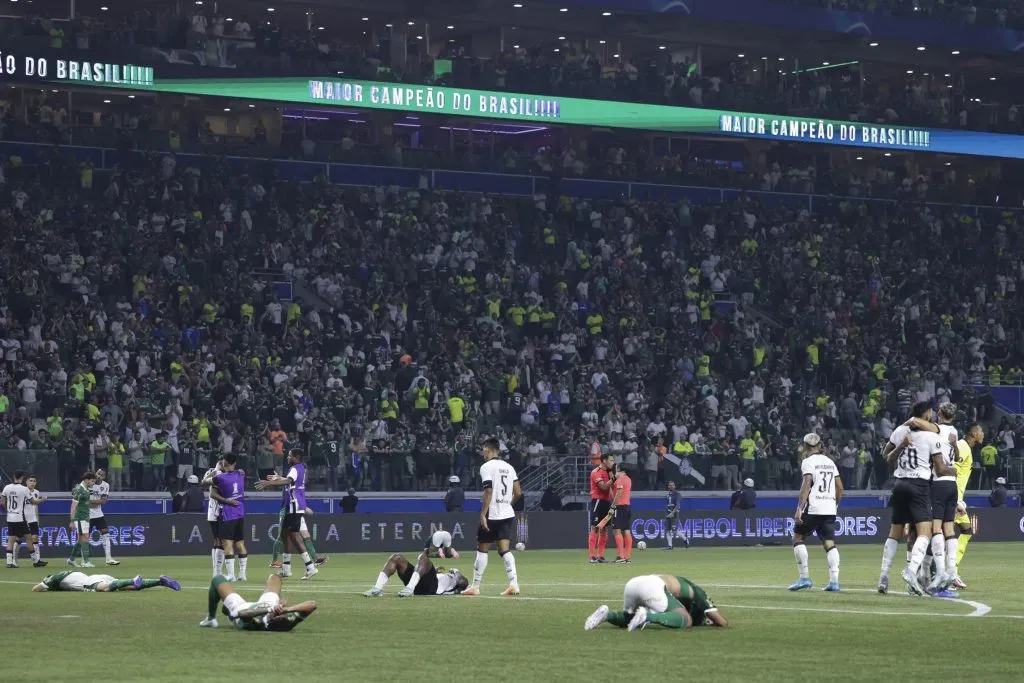 Botafogo comemora vitória diante do Palmeiras – (Photo by Alexandre Schneider/Getty Images)